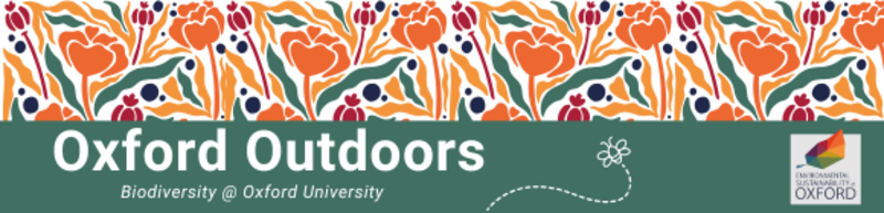 oxford outdoor header