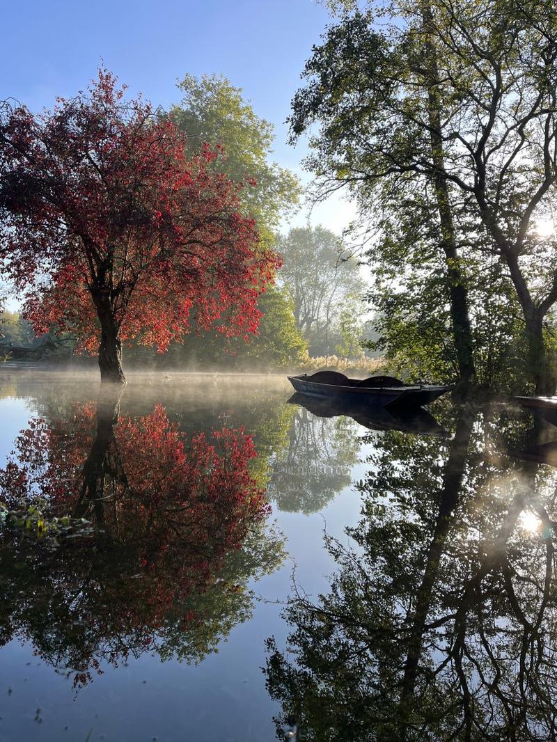 autumn floods katie brown 2025 small