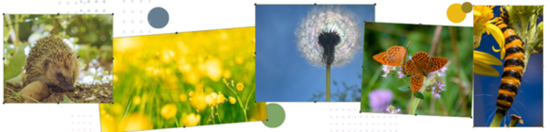 header no text3