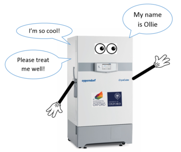 Ollie the freezer