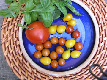 Photo of various size and coloured tomatoes on a plate